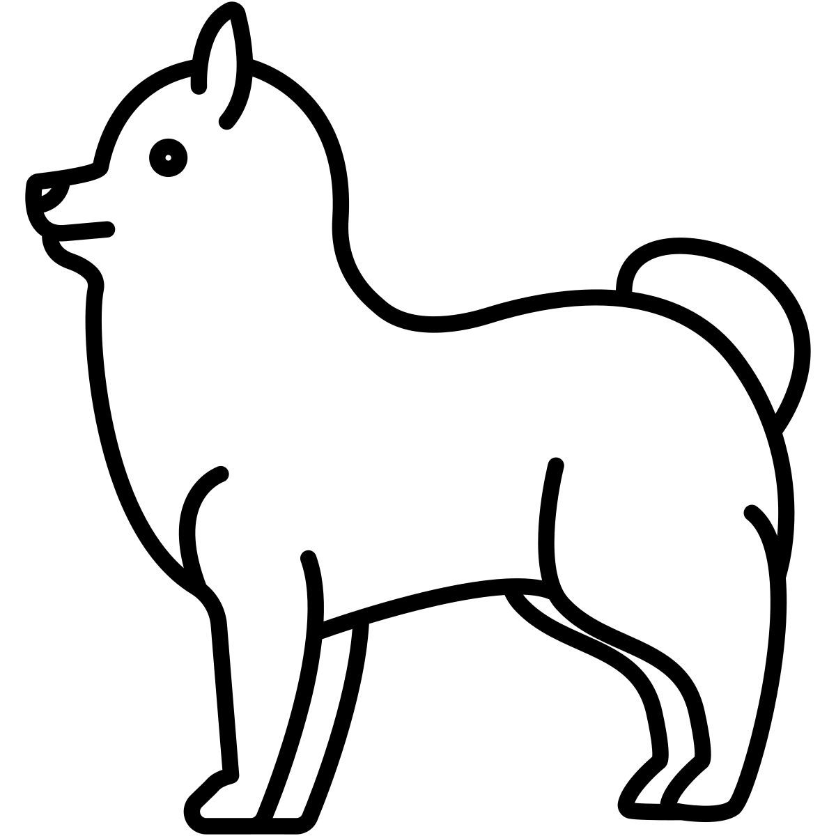 博美犬 icon