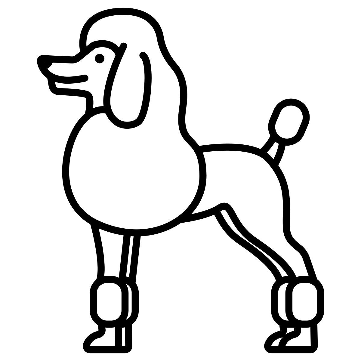 pudel icon