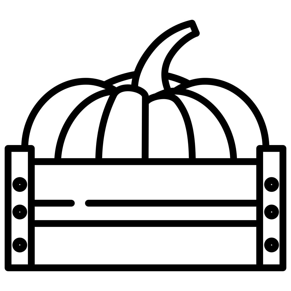 pumpkin icon