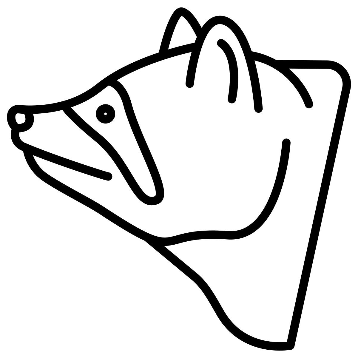 raccoon icon