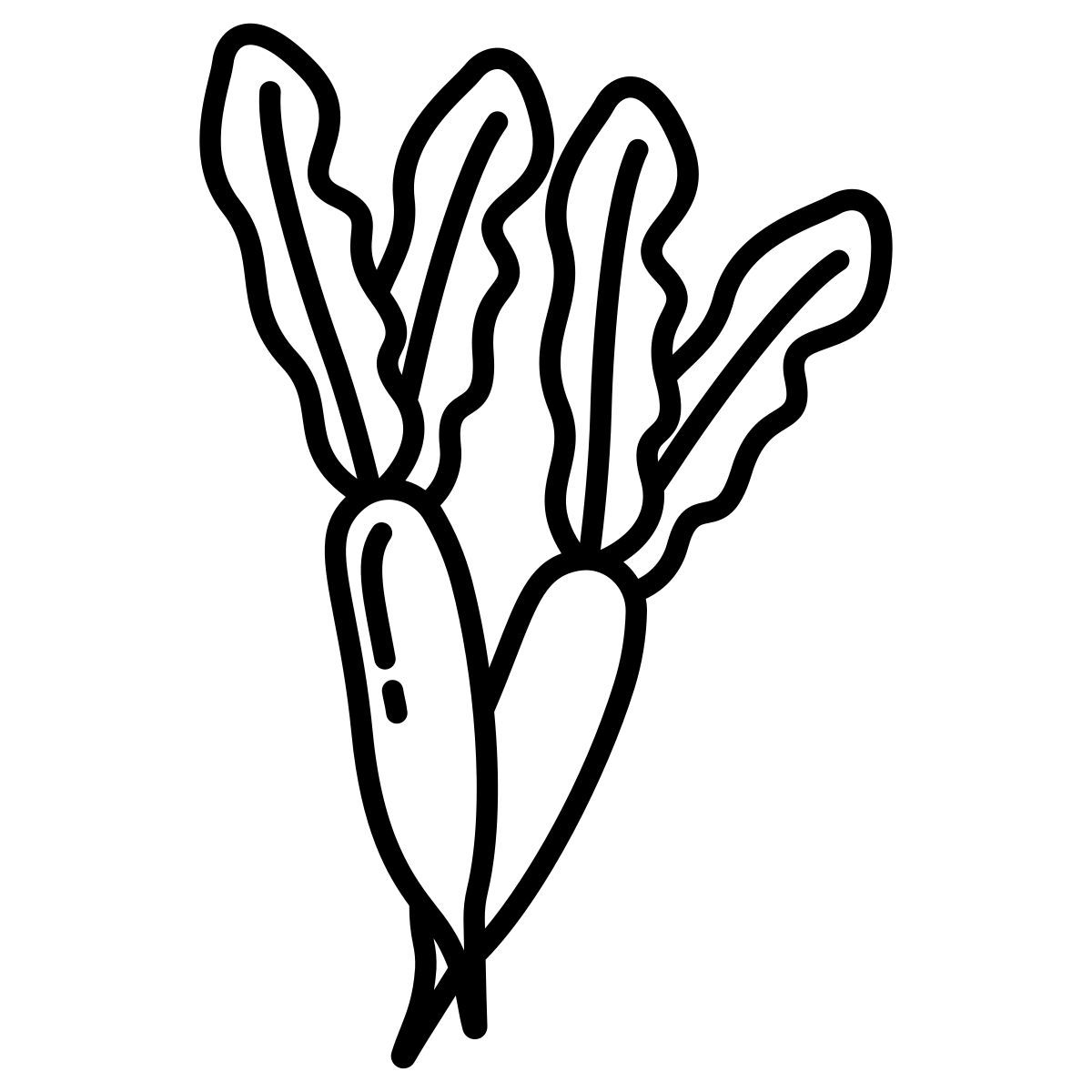 radish icon