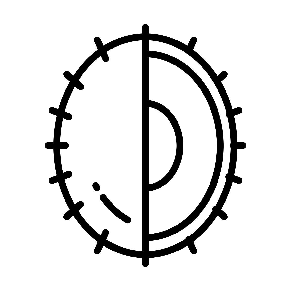 ramboutan icon