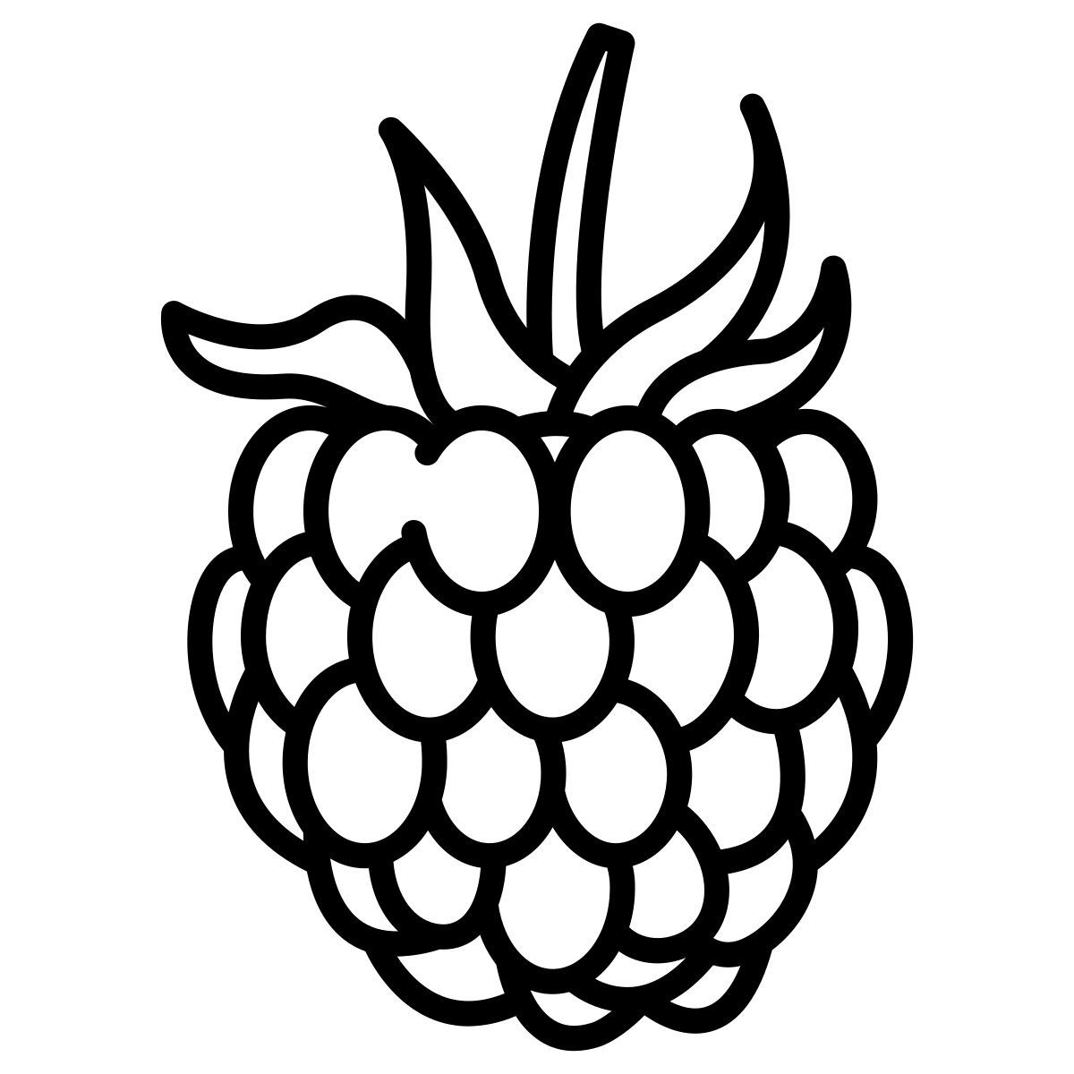 raspberry icon