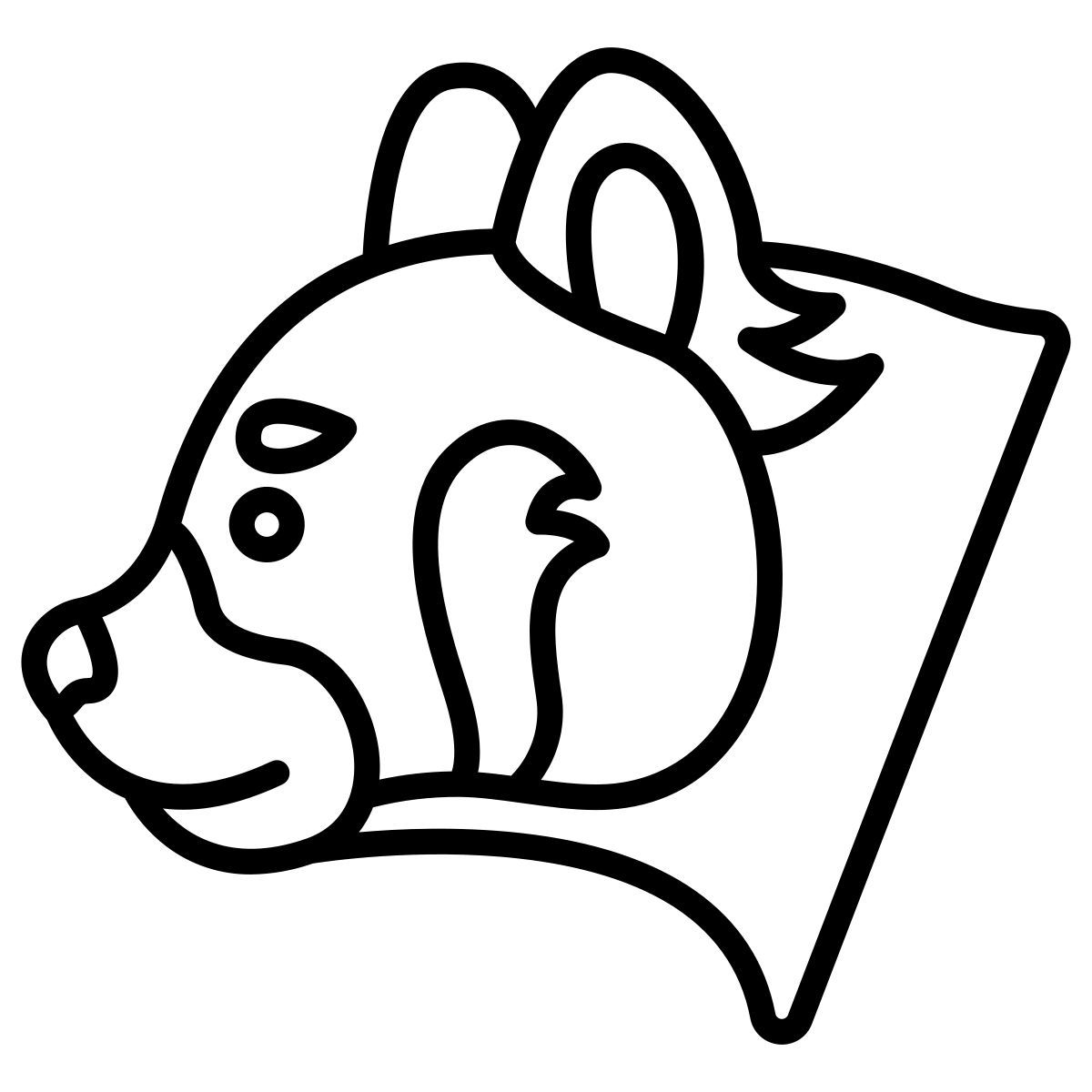 red panda icon