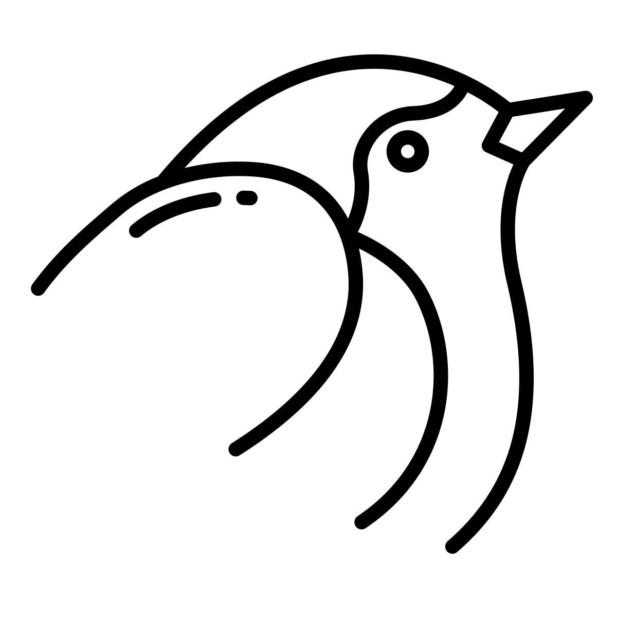 robin icon