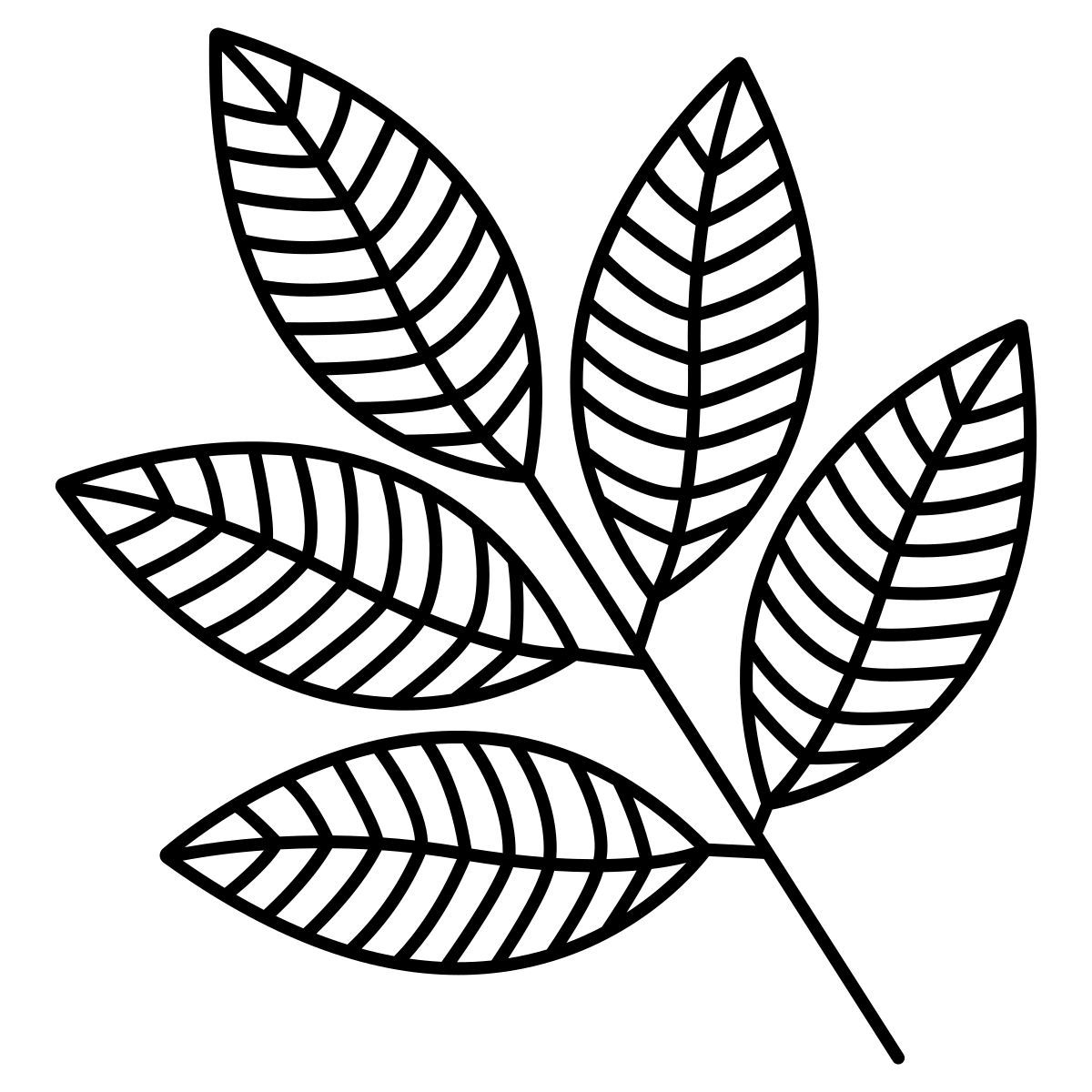 rowan icon