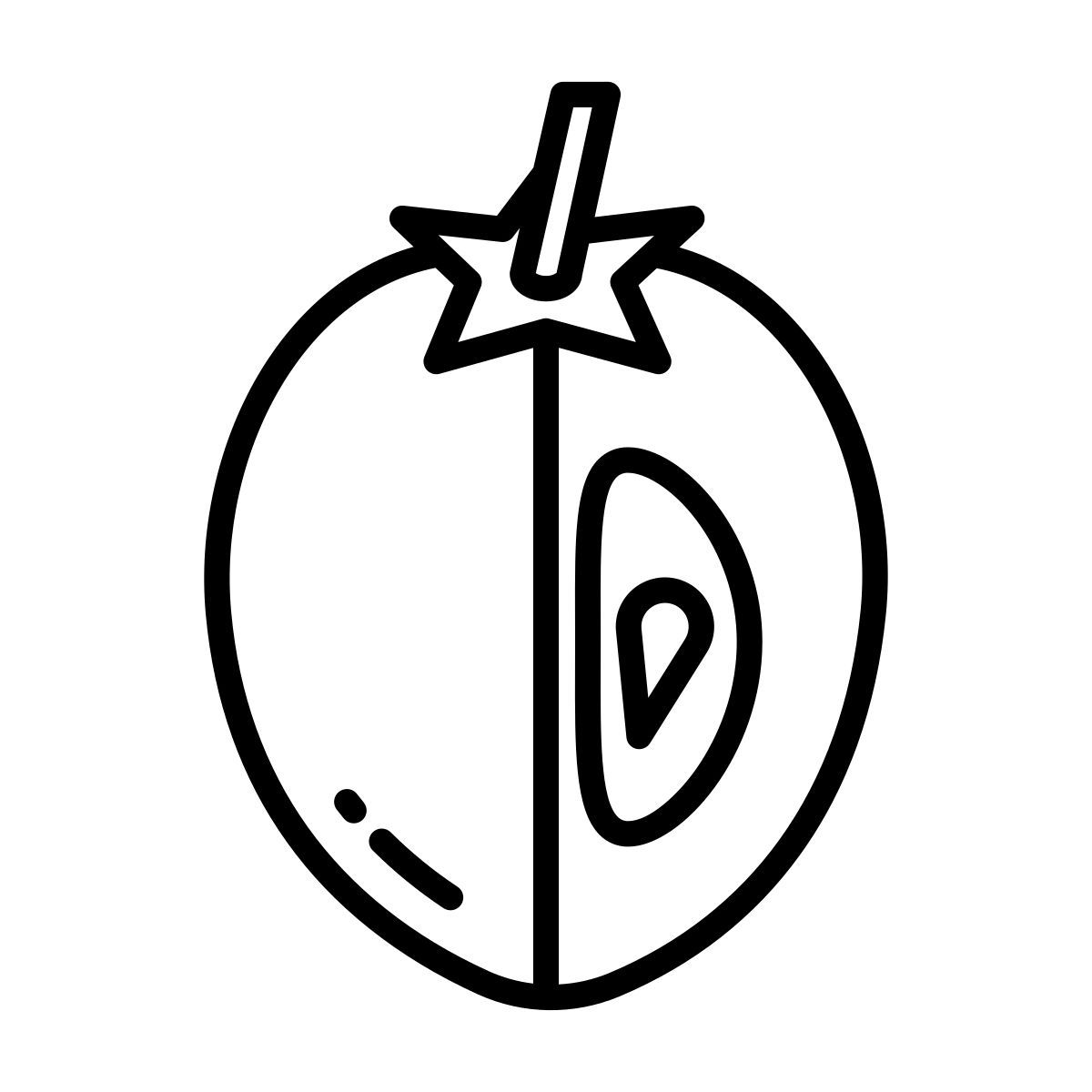 sapodilla icon