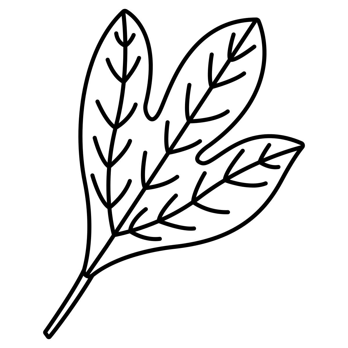 sassafras icon