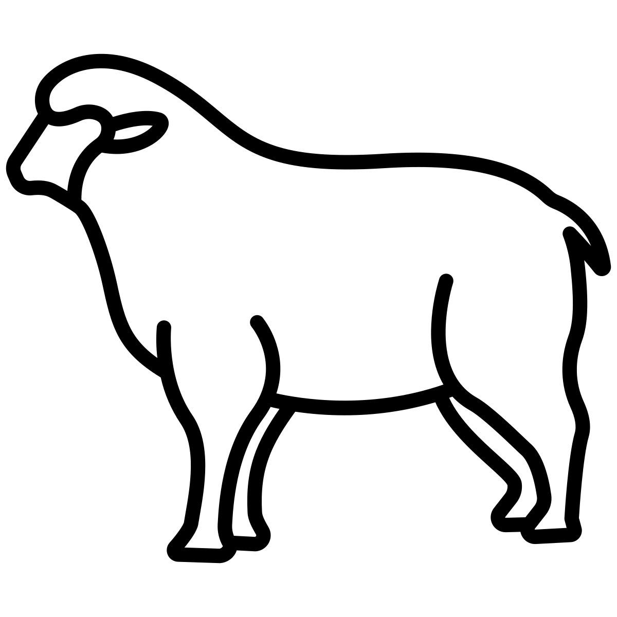 sheep icon