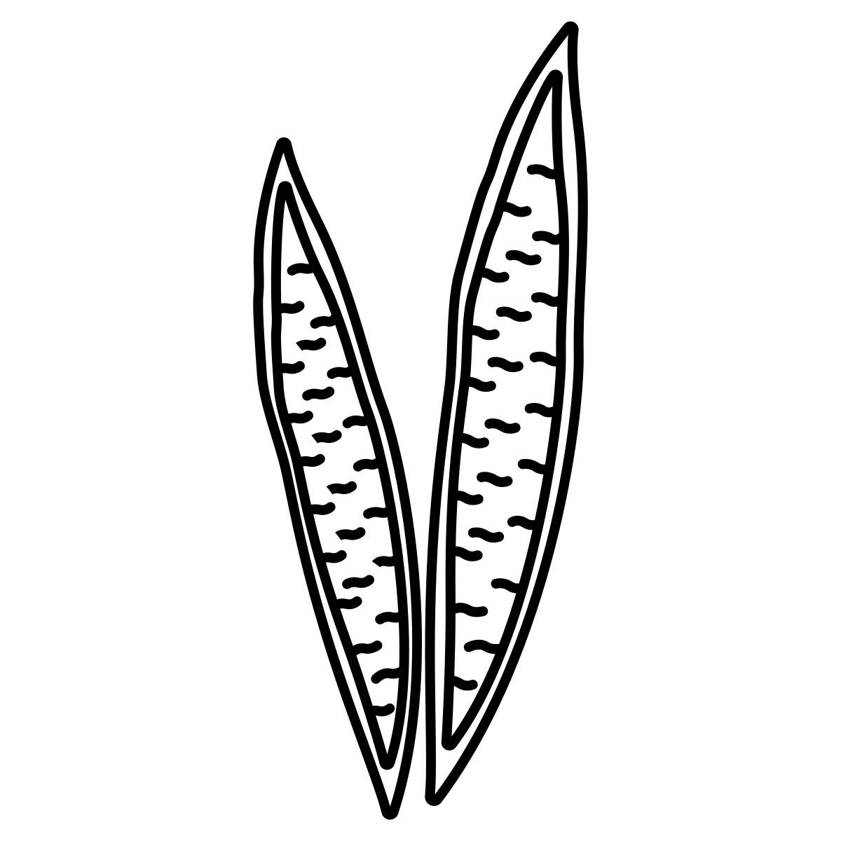 snake plant icon