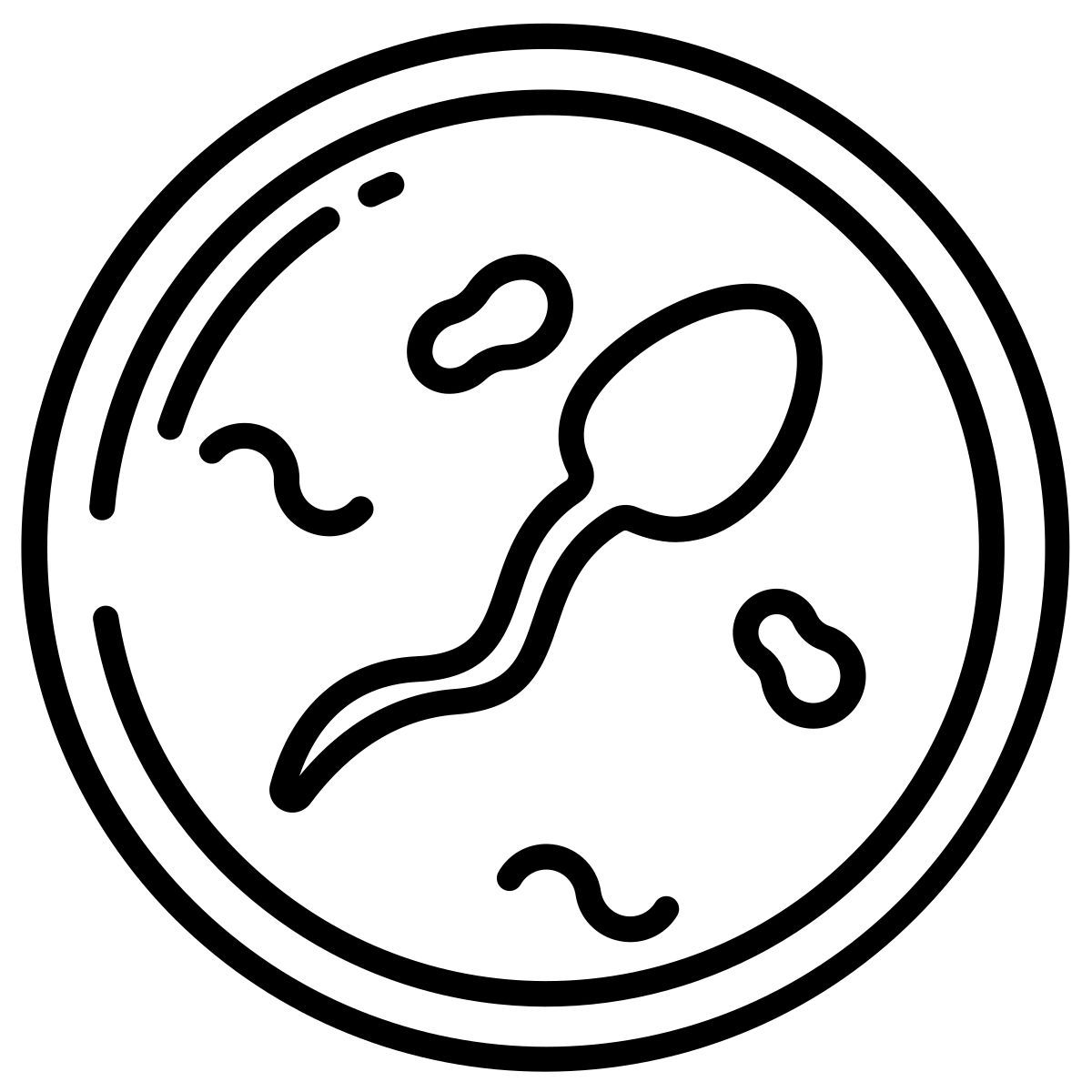 sperm icon
