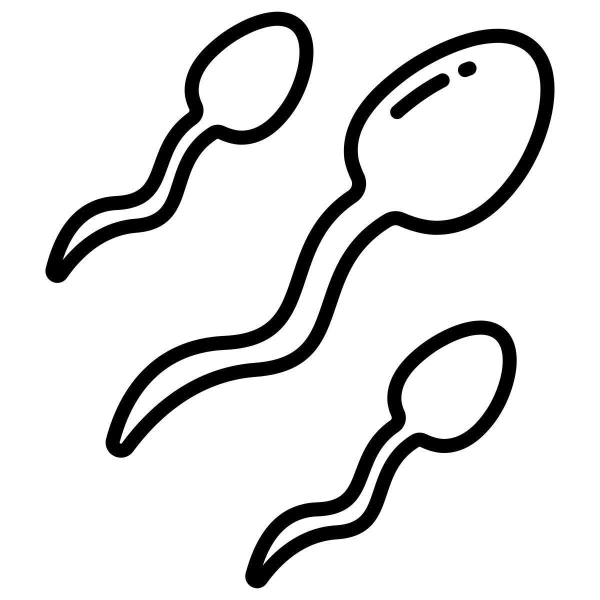 sperms icon