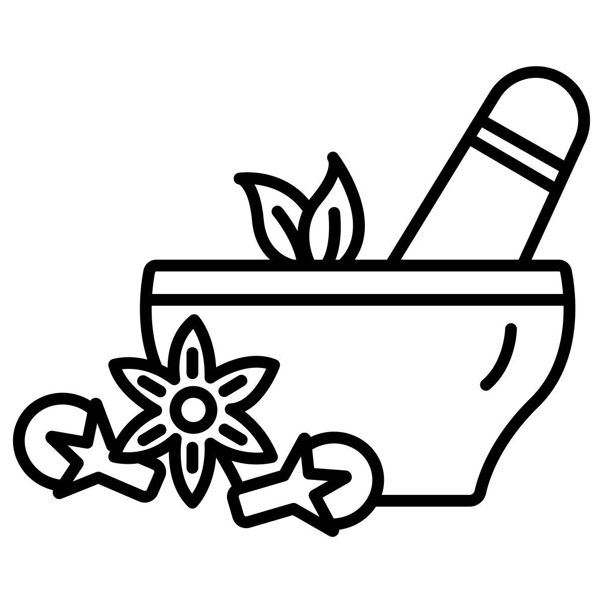 spices icon