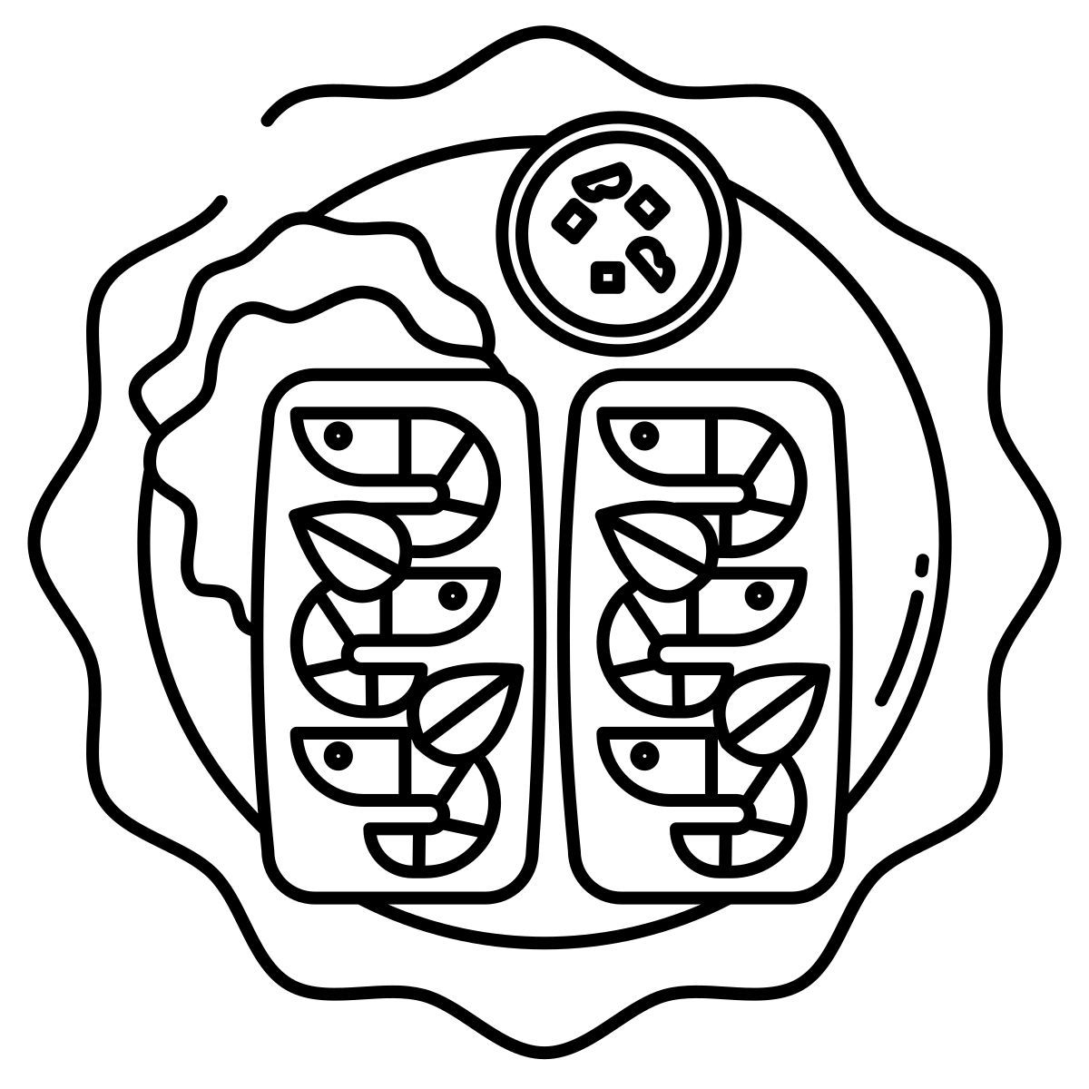 rollo de primavera icon