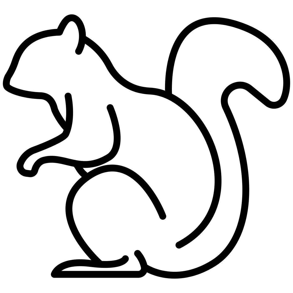 ardilla icon
