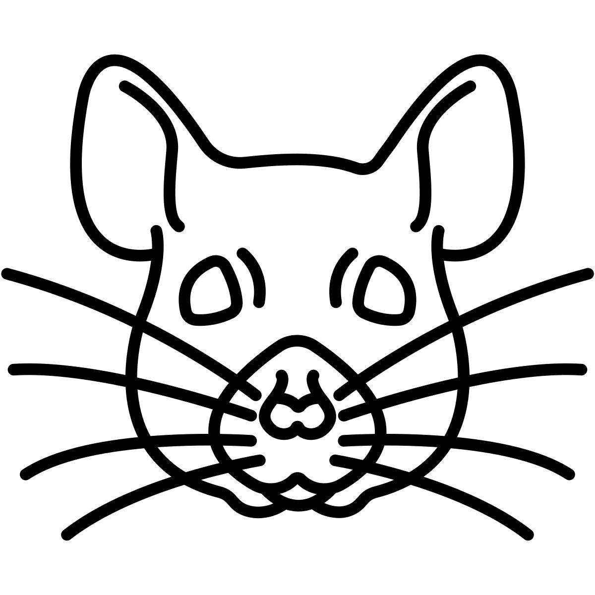 ardilla icon