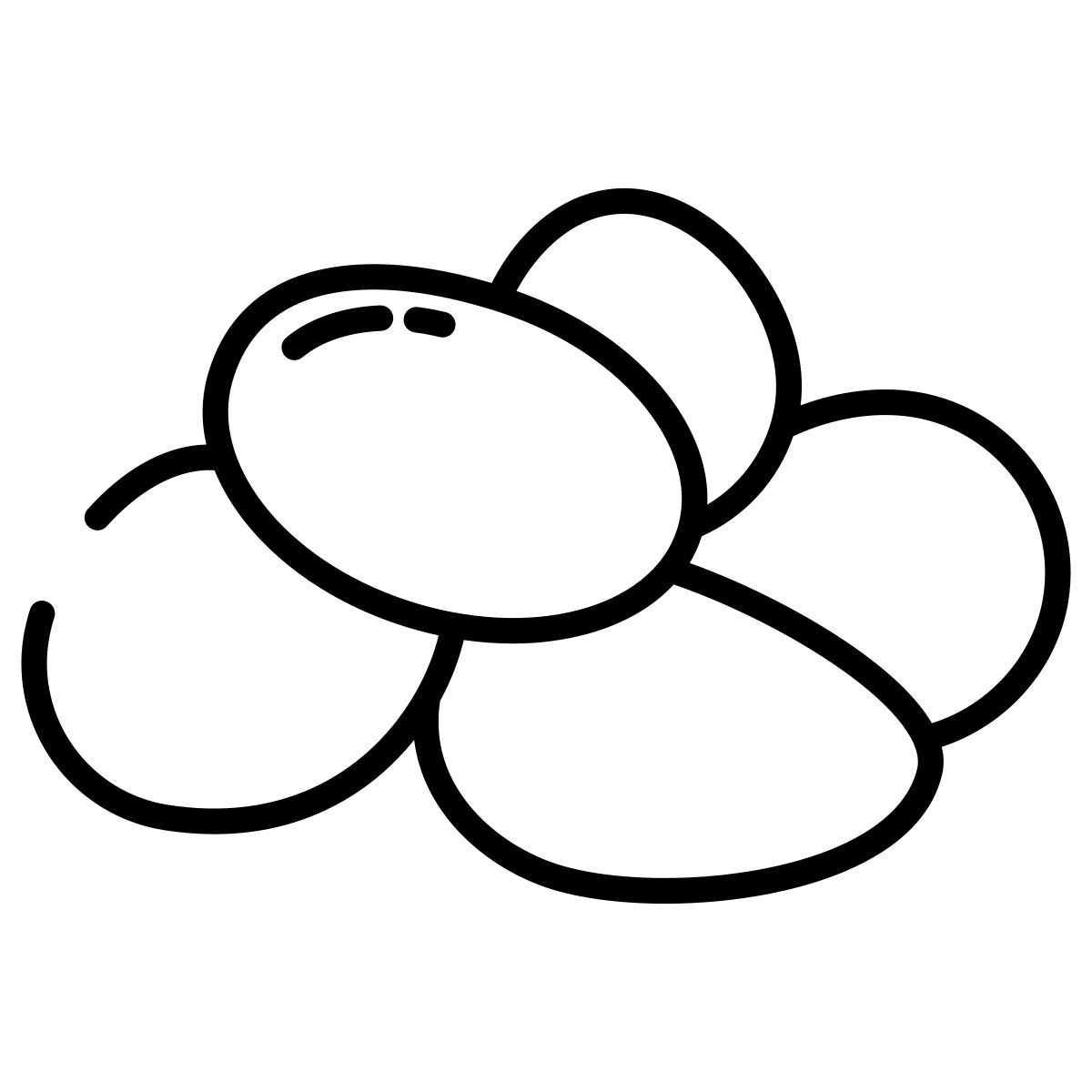 pietre icon