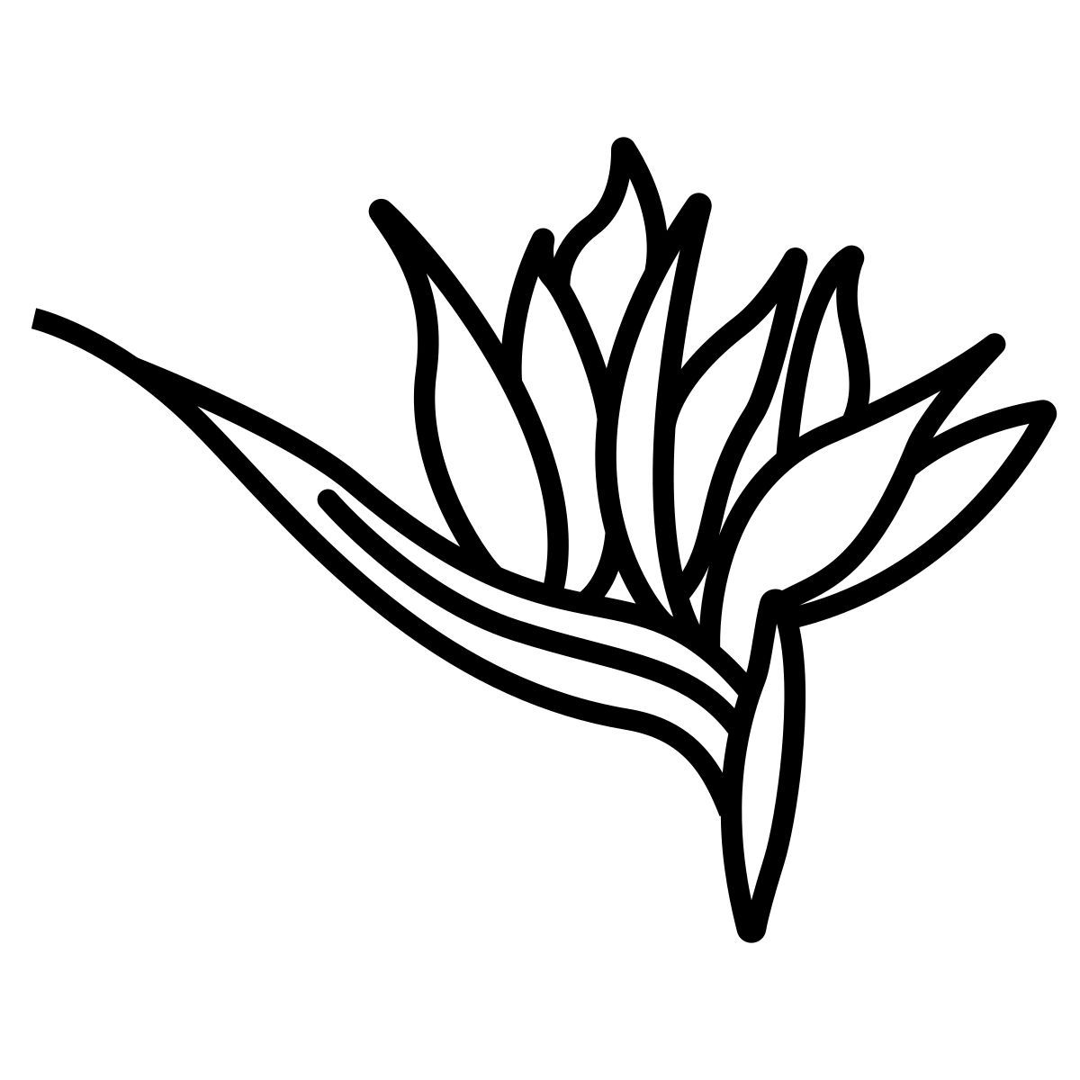 strelitzia icon