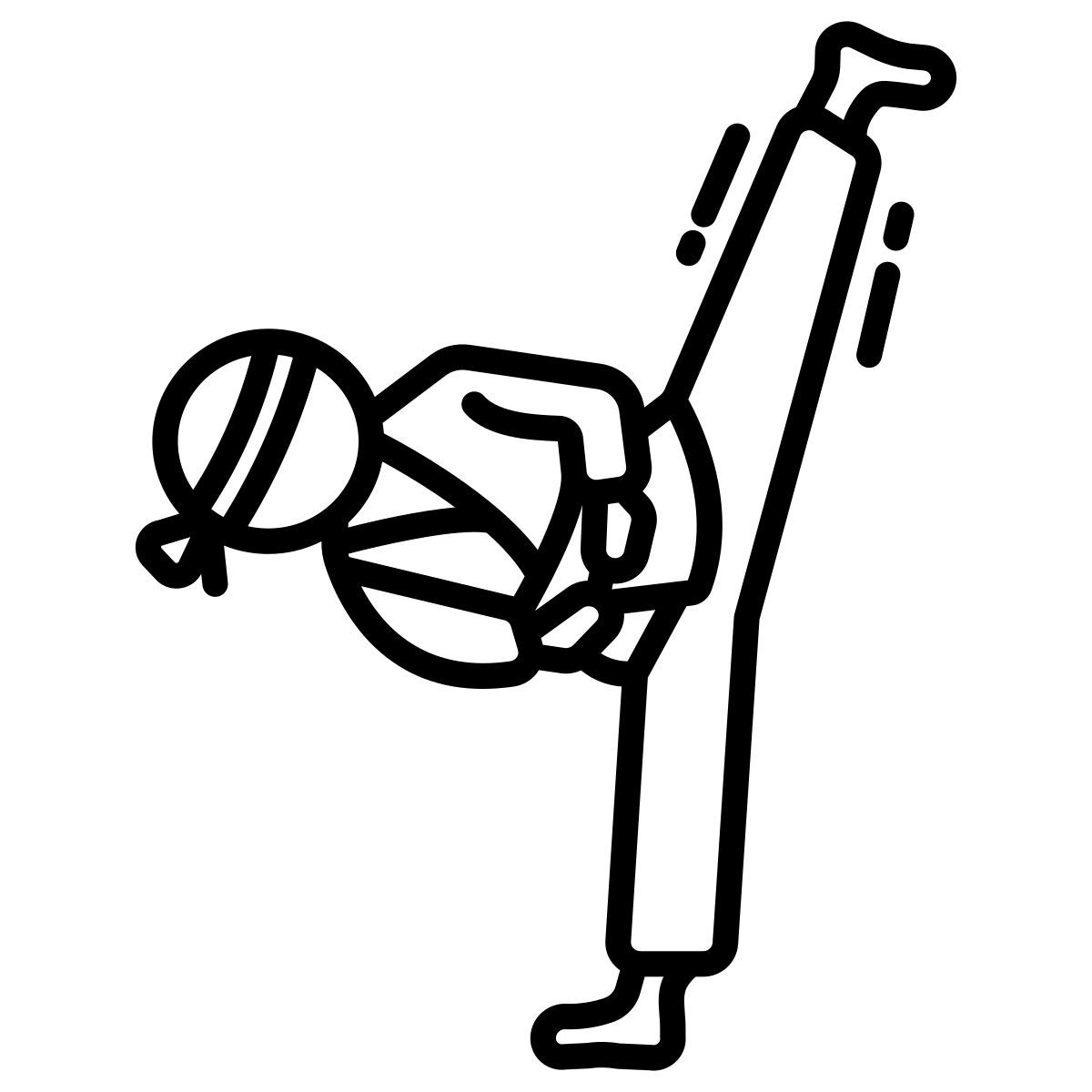 taekwondo icon