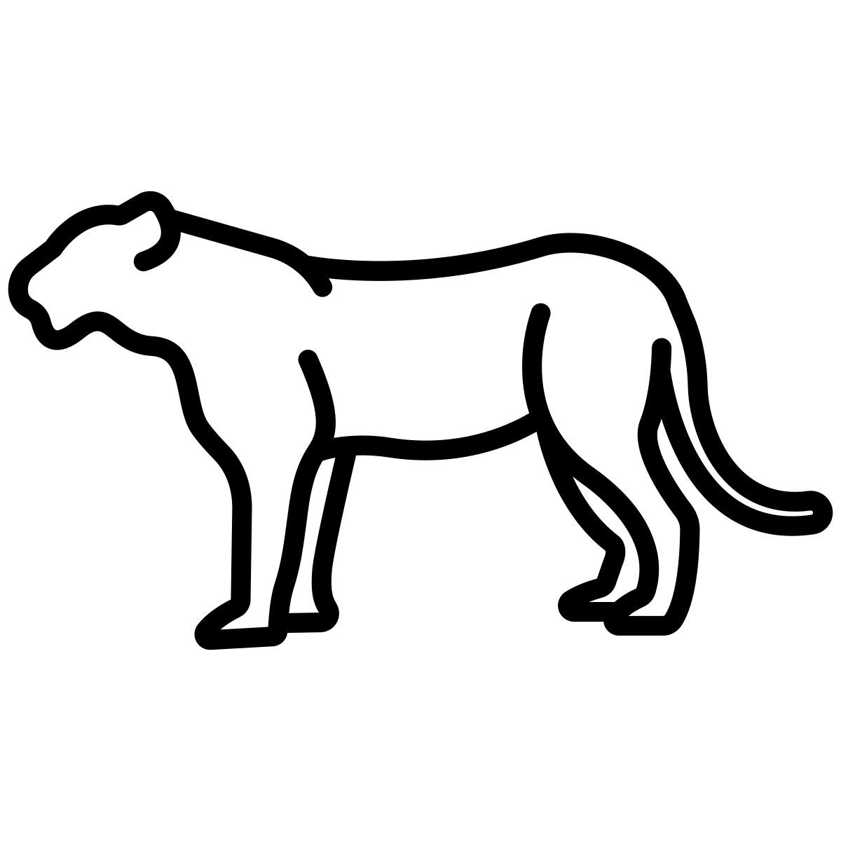 tiger icon
