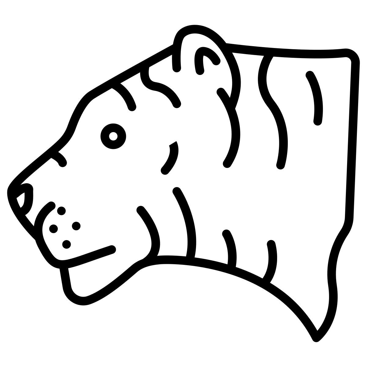 tiger icon