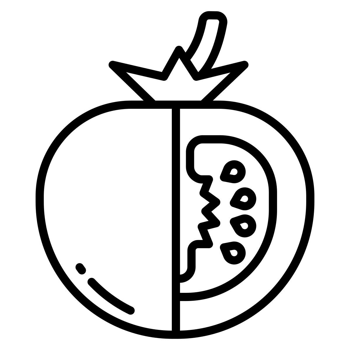 tomato icon