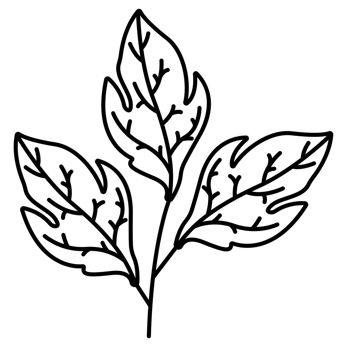 tomato icon