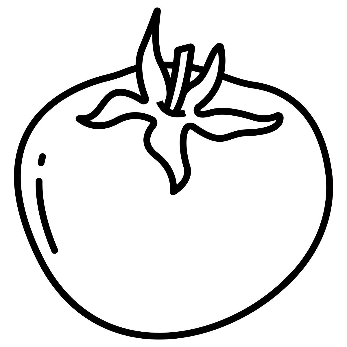 tomato icon