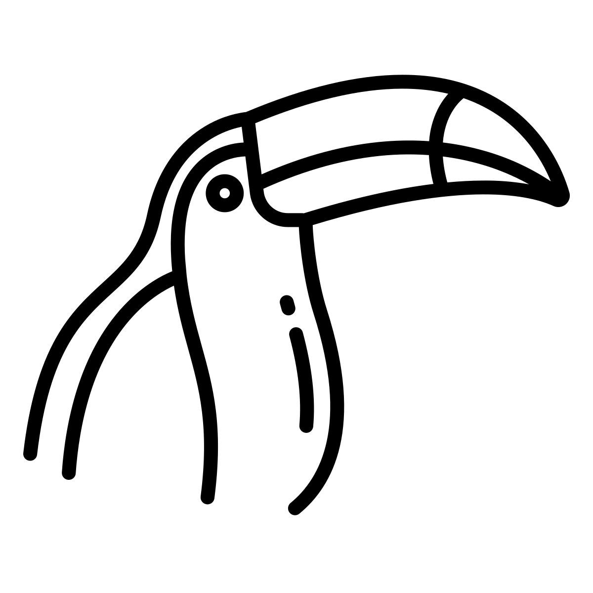 toucan icon