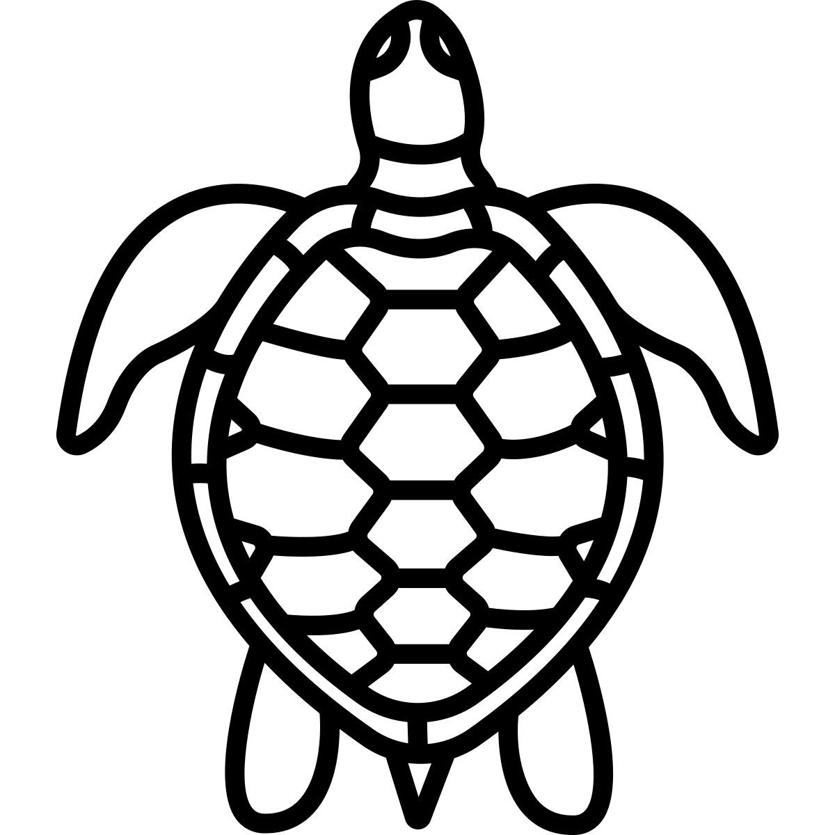 turtle icon