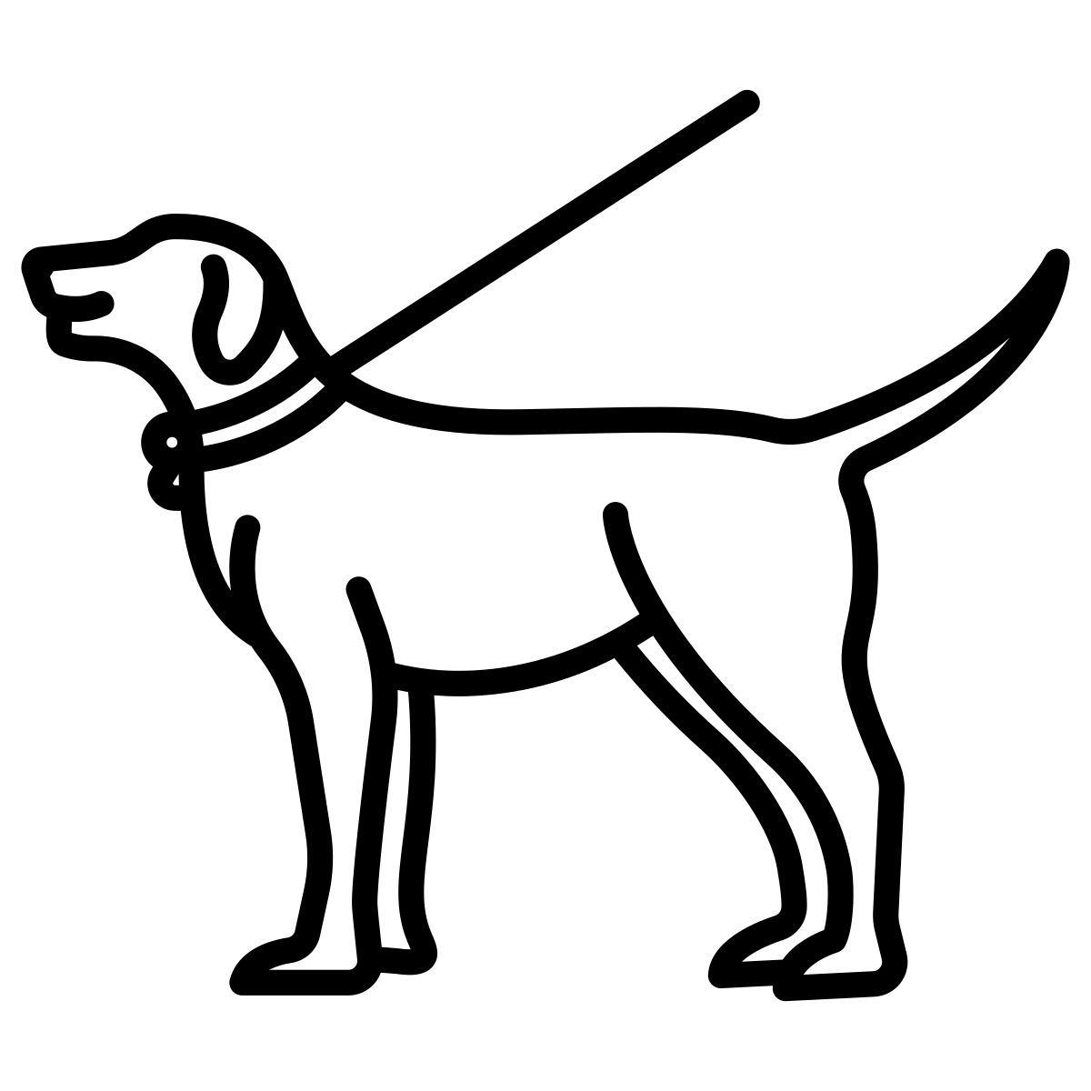 walking the dog icon