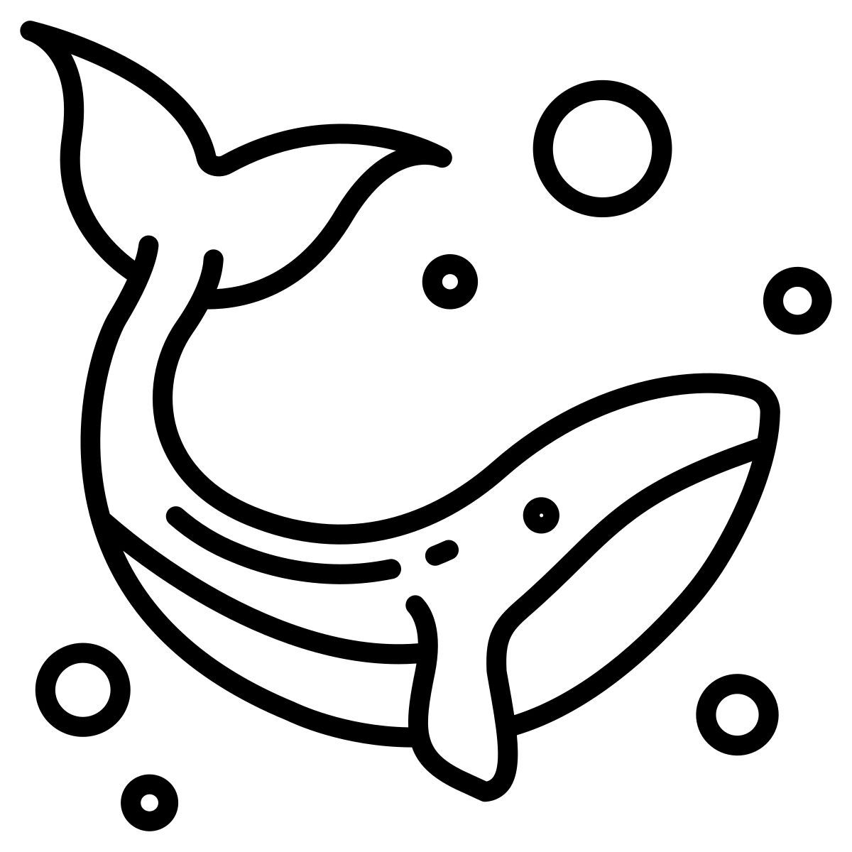 whale icon