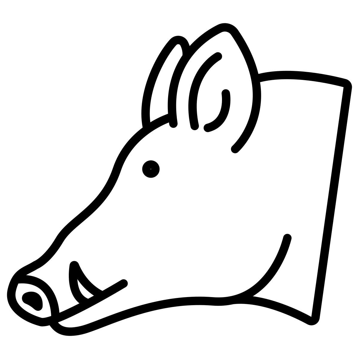 wild pig icon