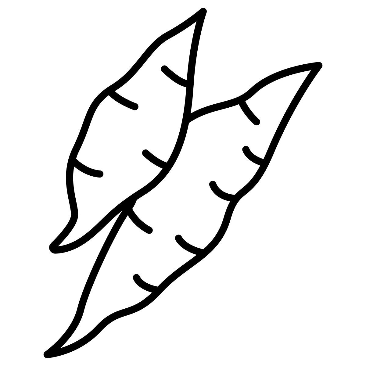 yucca icon
