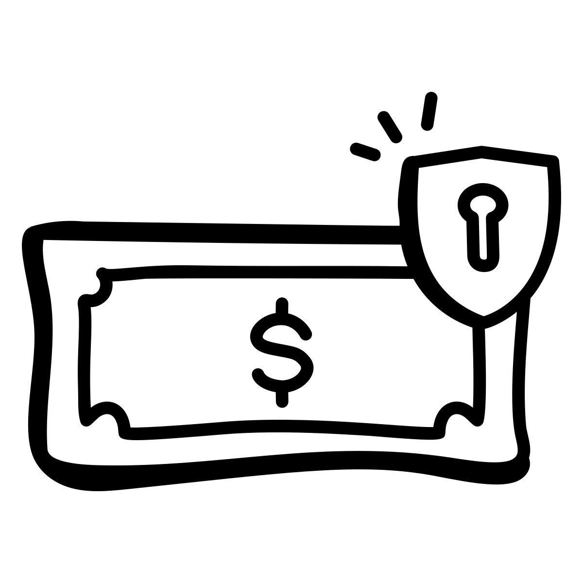 sicurezza del denaro icon