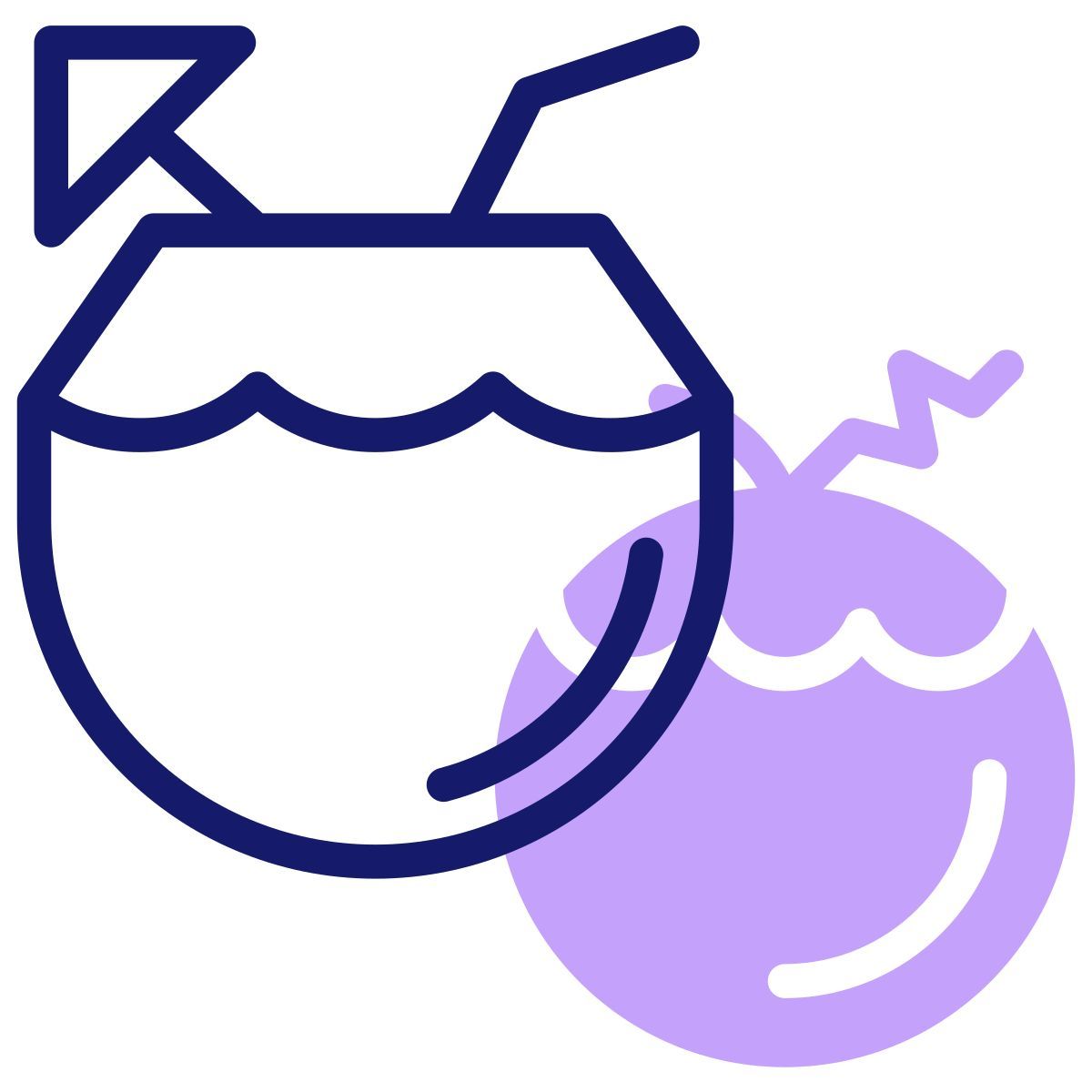 coconut drink icon