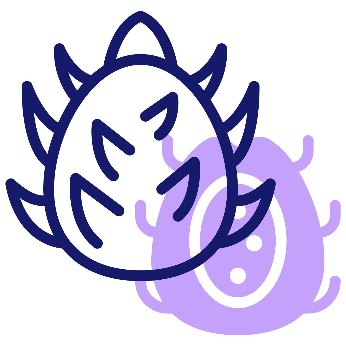 dragon fruit icon