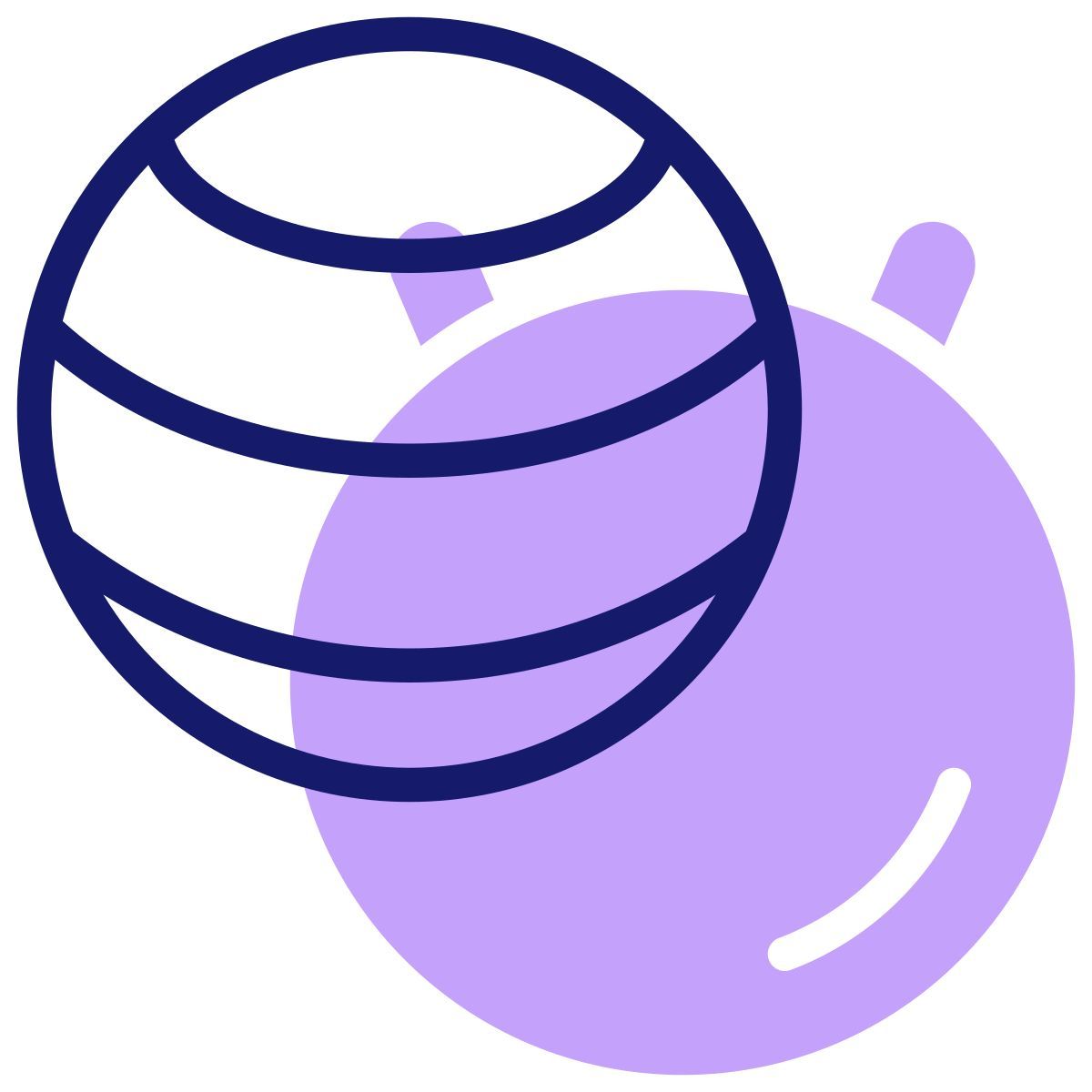 exercise ball icon