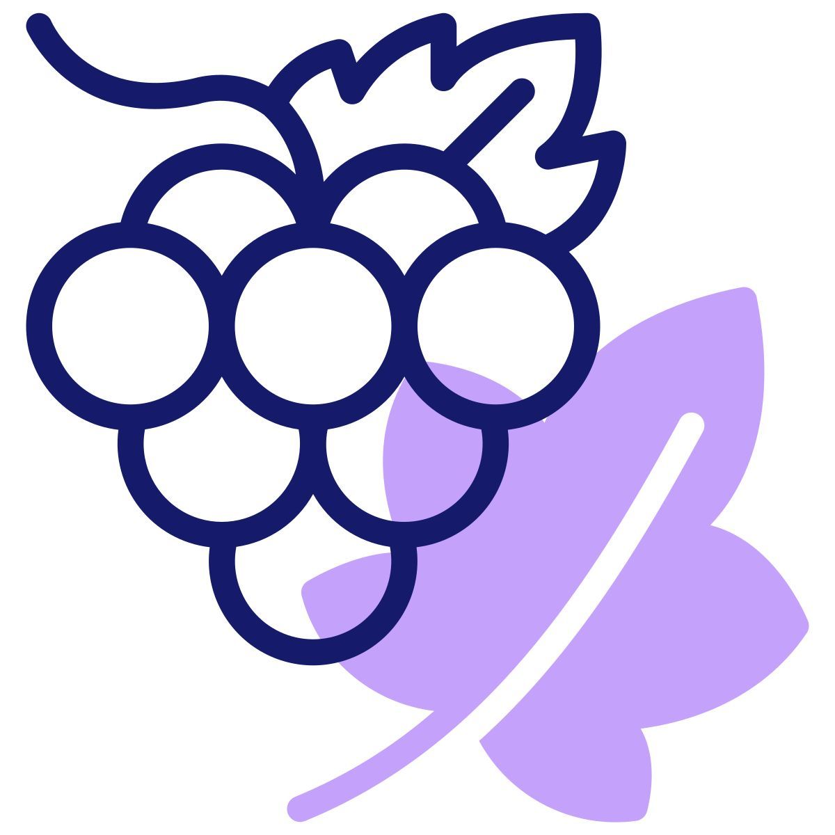 grapes icon