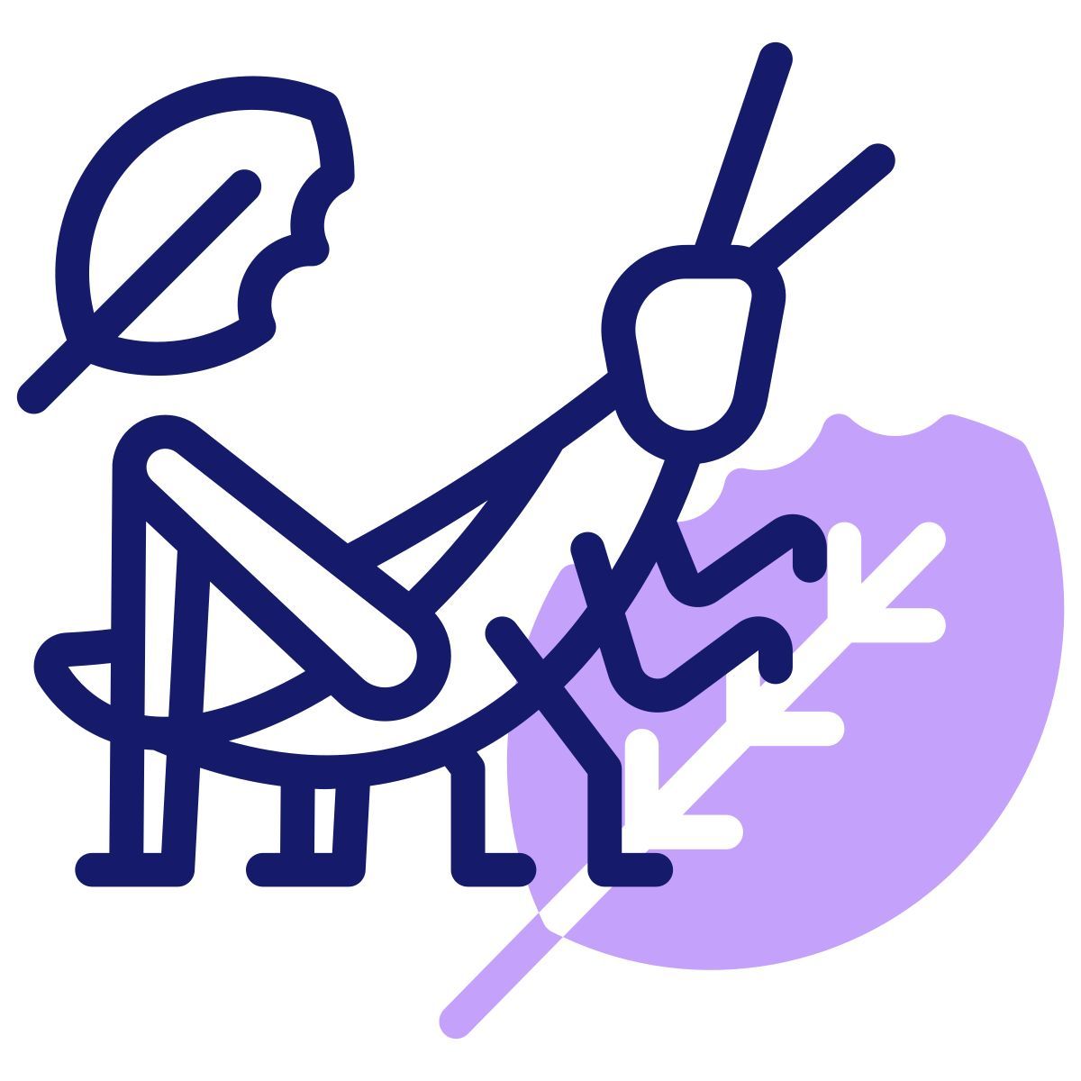 grasshopper icon
