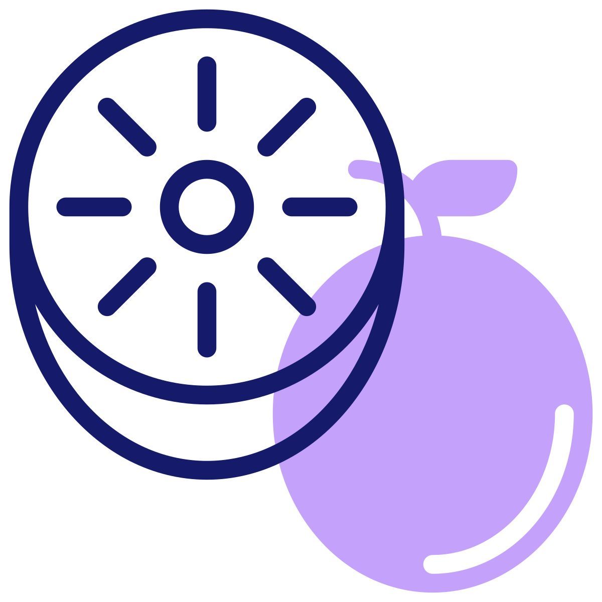 kiwi icon