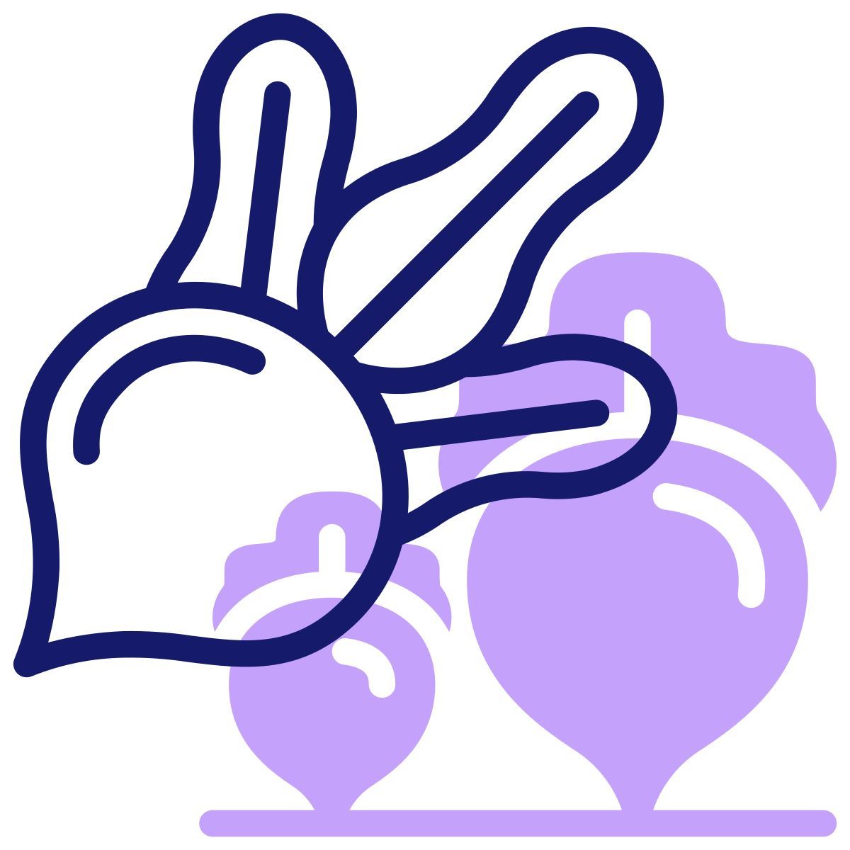 kohlrabi icon
