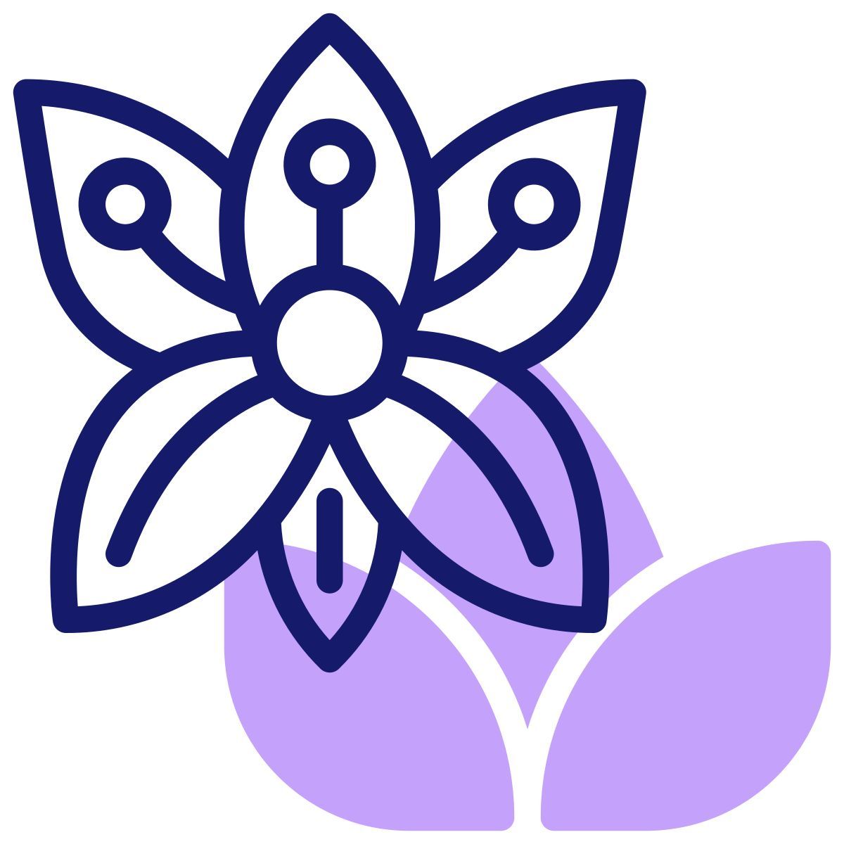 lily icon