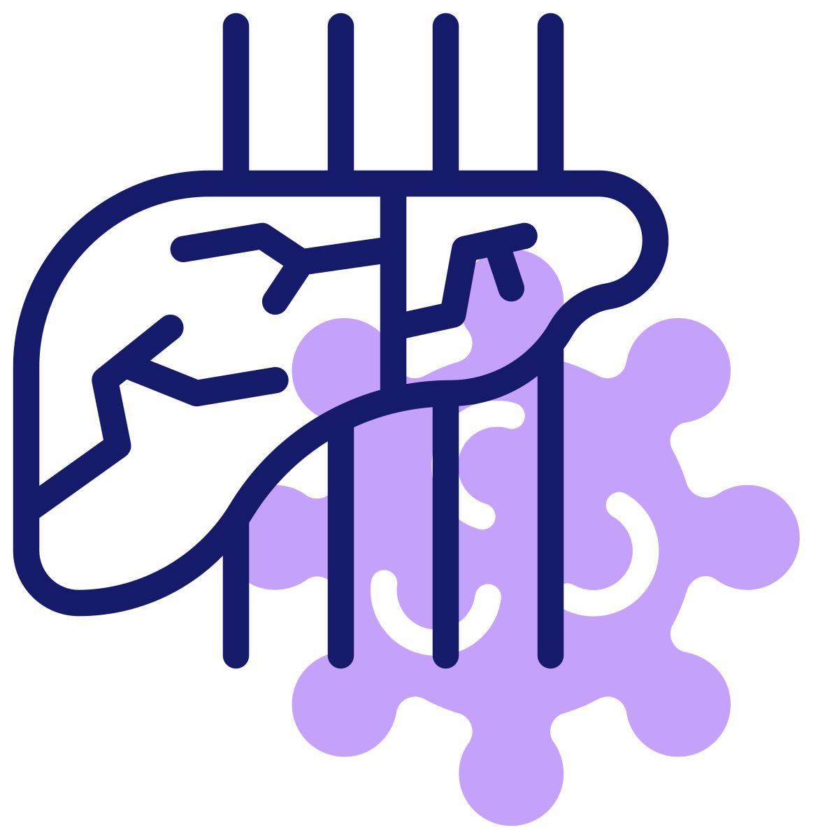 liver icon