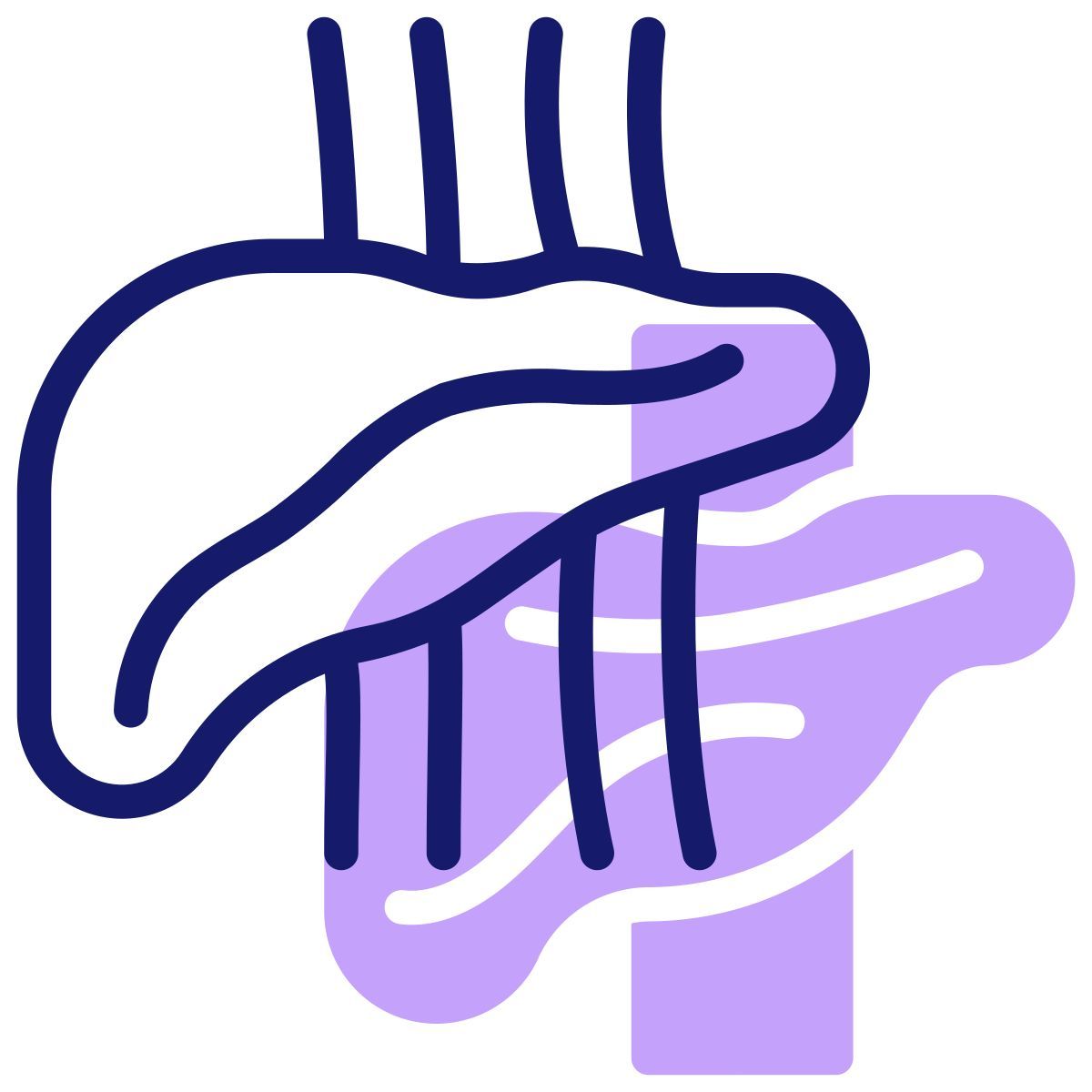 liver icon