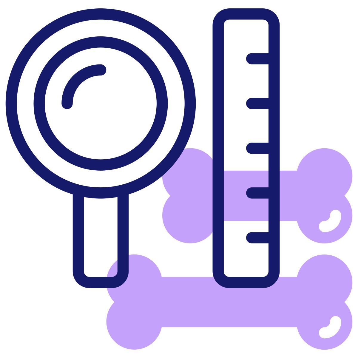 loupe icon