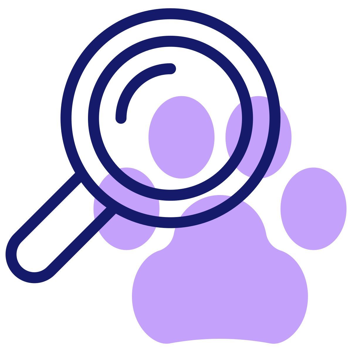 loupe icon