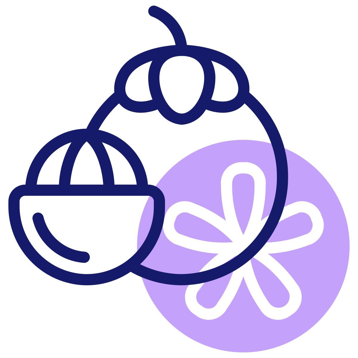 mangosteen icon