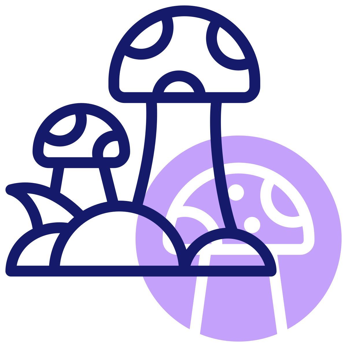 Cogumelo icon