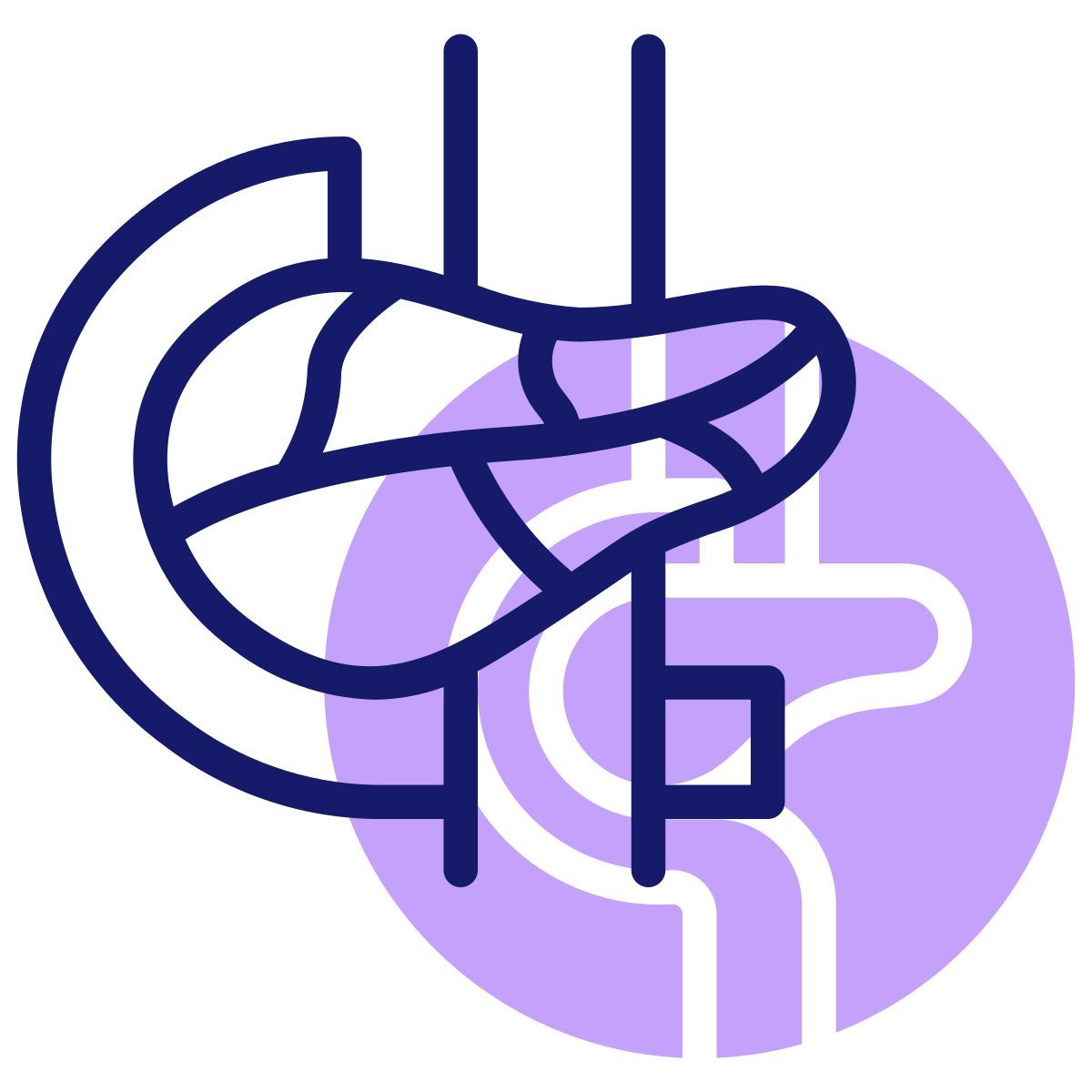 pancreas icon